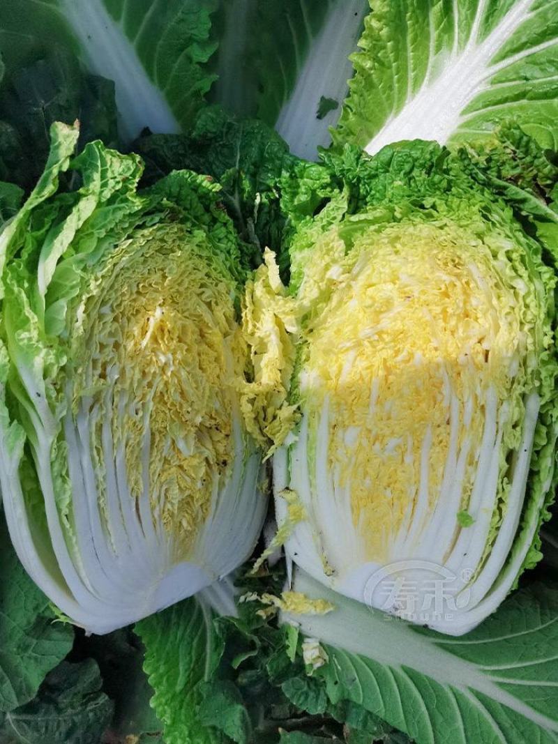 白菜可对接商超,市场,食堂等一手货源全国发货