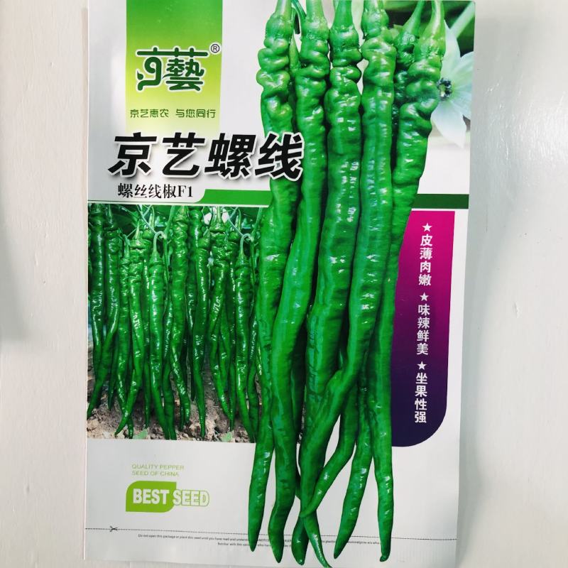 京艺螺线长果螺丝线椒种子早熟青红两用辣味浓露地大棚