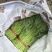 有大量空心菜出售，欢迎各位老板下单。