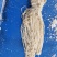 【热销】肠衣大量上市了价格优惠品质保证全程冷链