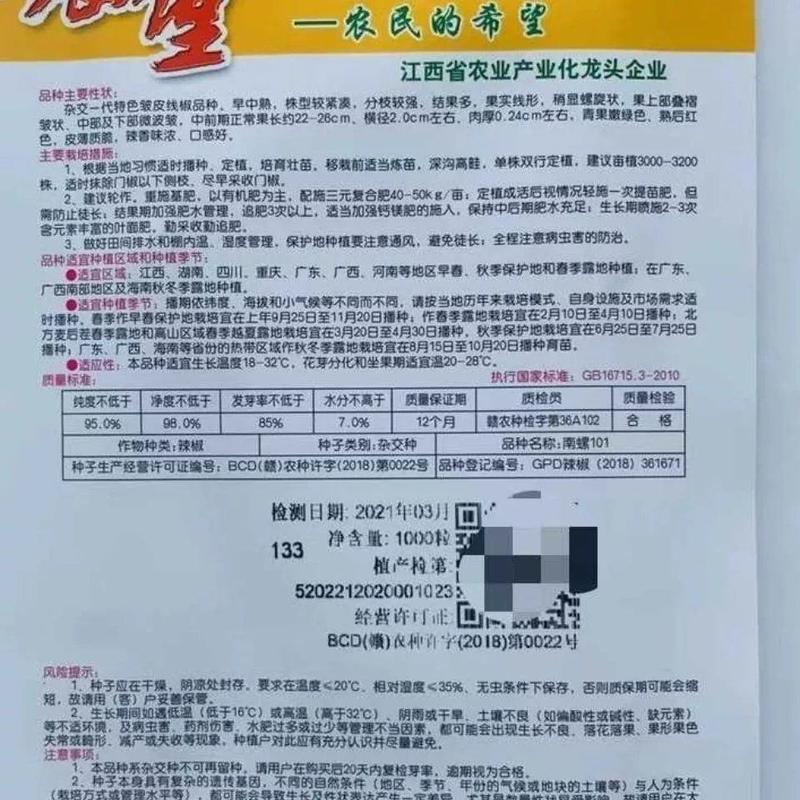 螺丝椒种子农望南螺101号薄皮皱皮香辣羊角辣椒种子春秋露