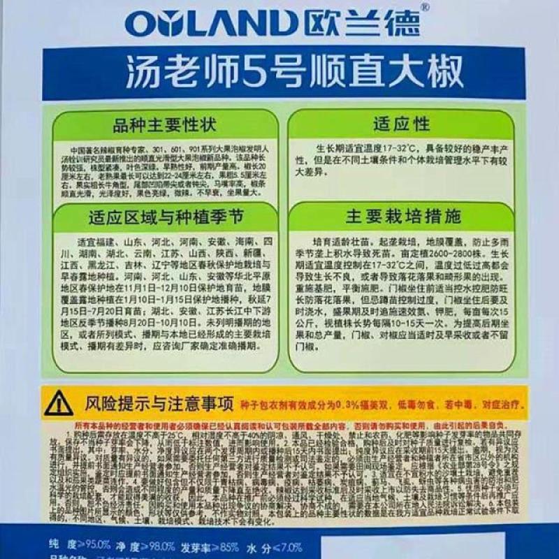 欧兰德汤老师5号顺直大椒辣椒种子高产微辣马嘴大果粗泡椒