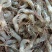 河虾草虾青虾