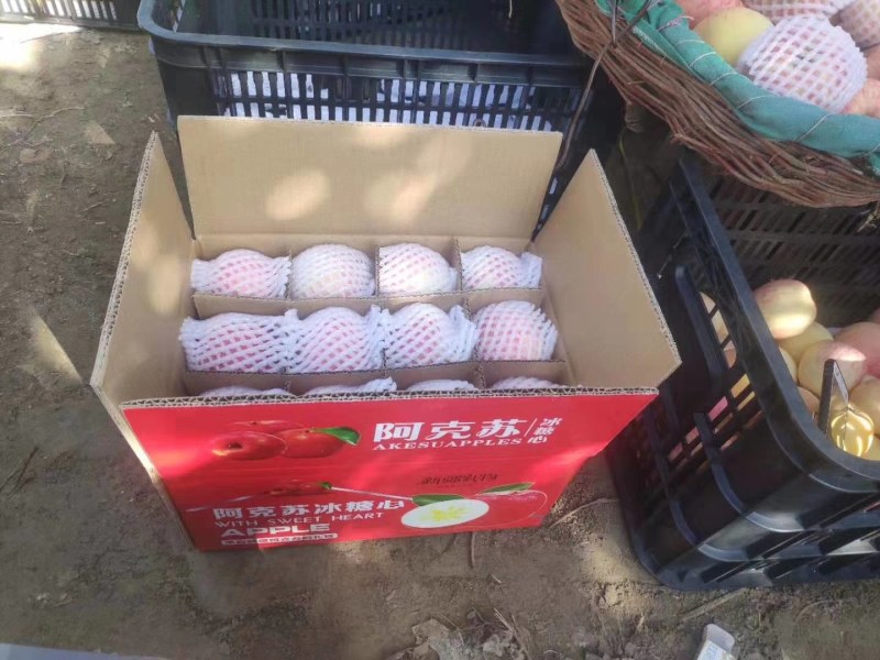 新疆阿克苏冰糖心红富士苹果，大量采摘，产地直发。