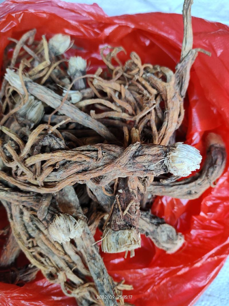 真品秦艽秦胶秦札秦纠秦爪整个干品无硫无提取