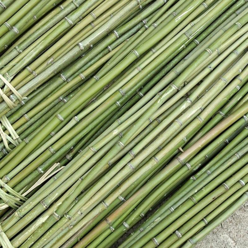 大量现货，价格美丽，欢迎各位老板砸单，有需要的随时骚扰