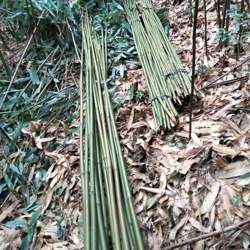 大量现货，价格美丽，欢迎各位老板砸单，有需要的随时骚扰