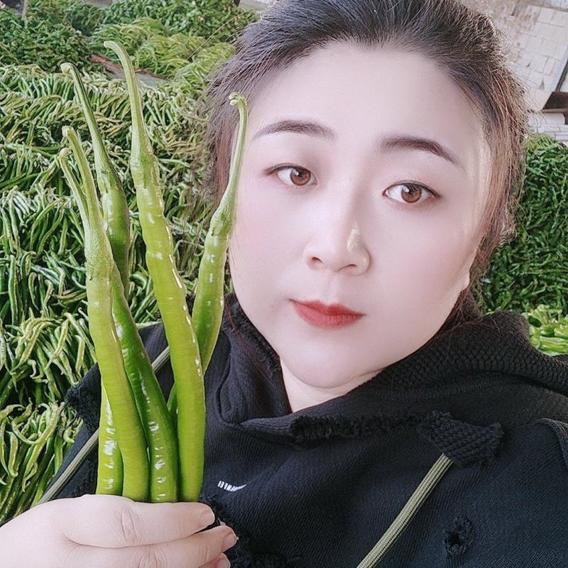 精品线椒二荆条鲜辣椒基地直供价格便宜全国代发