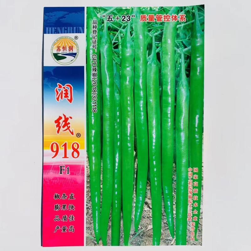 润线968线椒种子918线椒种子928长线椒种子青红两用