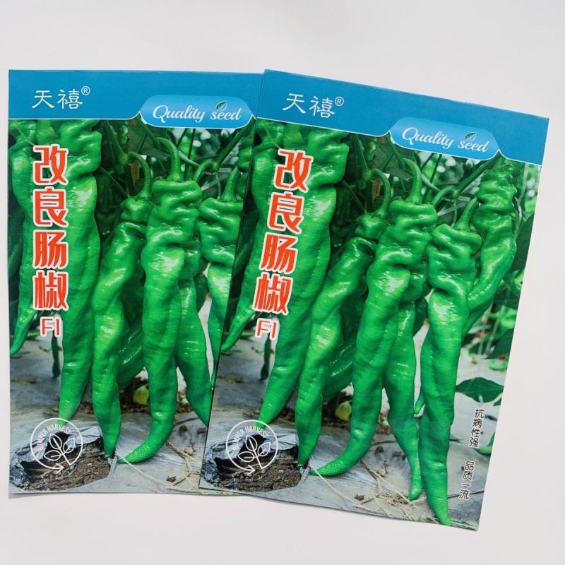天禧辣椒种子早熟皮薄螺丝椒种子青椒种籽四季蔬菜种子