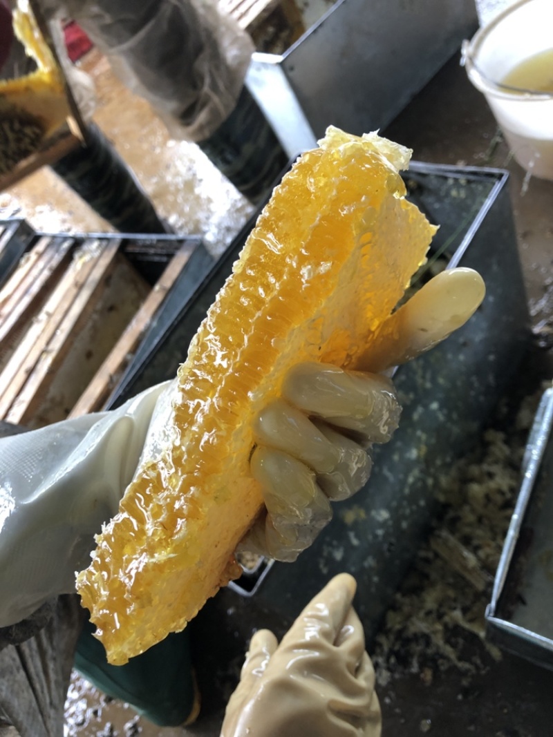 蜂巢蜜