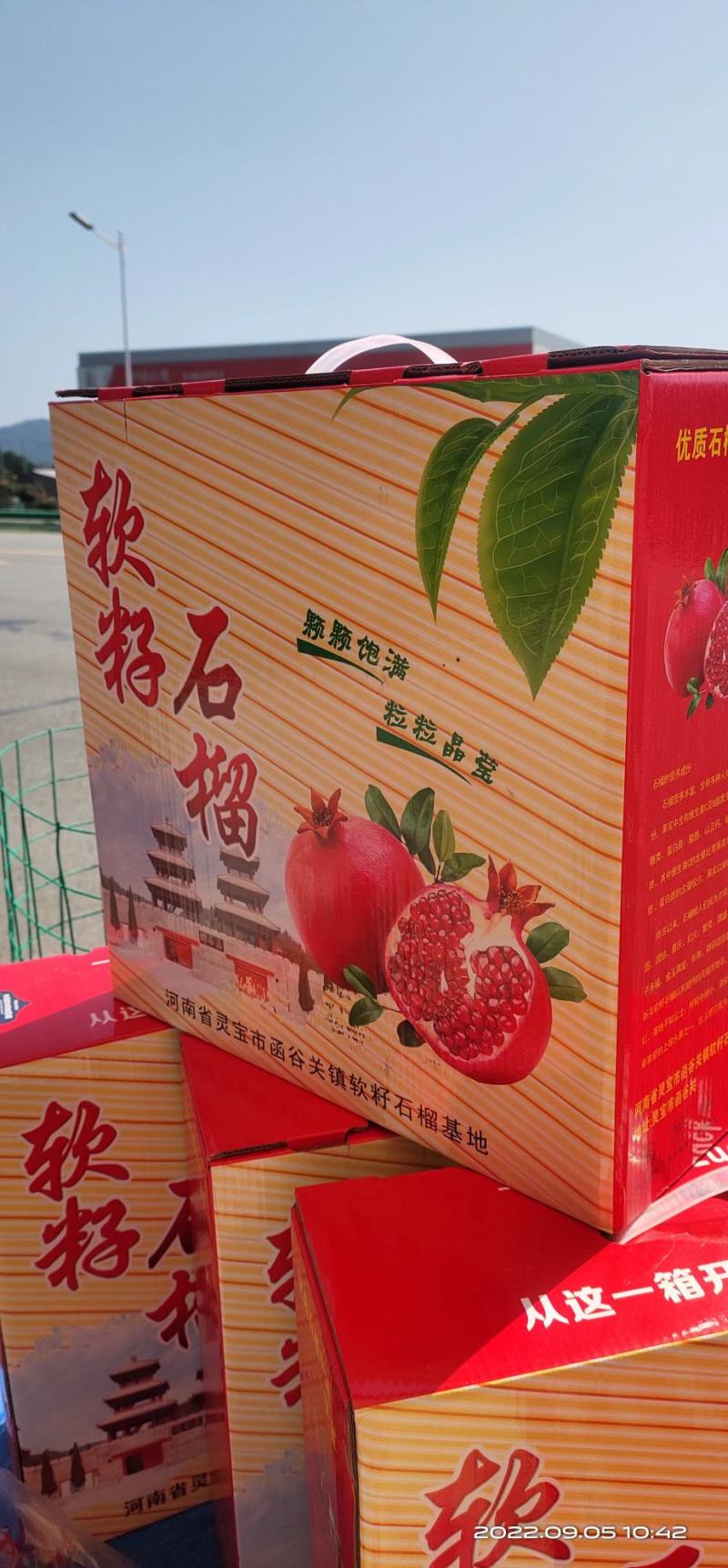 突尼斯软籽石榴