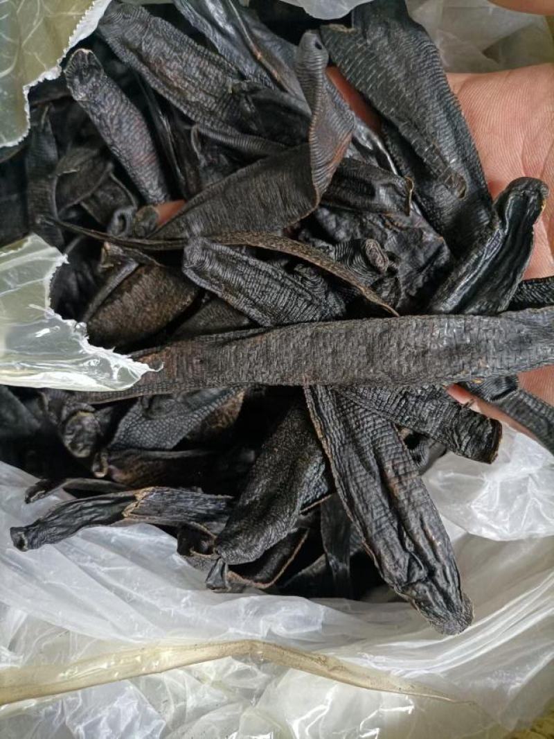 缅甸进口水蛭