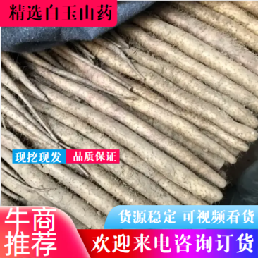 山药白玉山药，产地直发，保质保量，诚信经营欢迎咨询