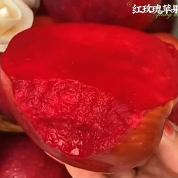 新品红玫瑰苹果苗甜脆苹果纯甜鲁丽华硕瑞雪烟富8苹果树苗