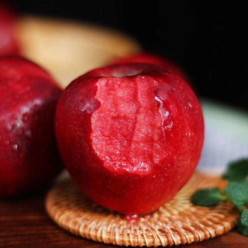 新品红玫瑰苹果苗甜脆苹果纯甜鲁丽华硕瑞雪烟富8苹果树苗
