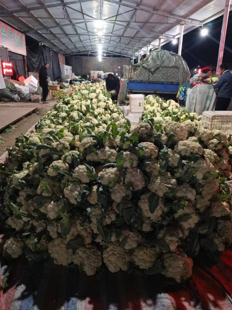 精品菜花，品质优选代发全国各地