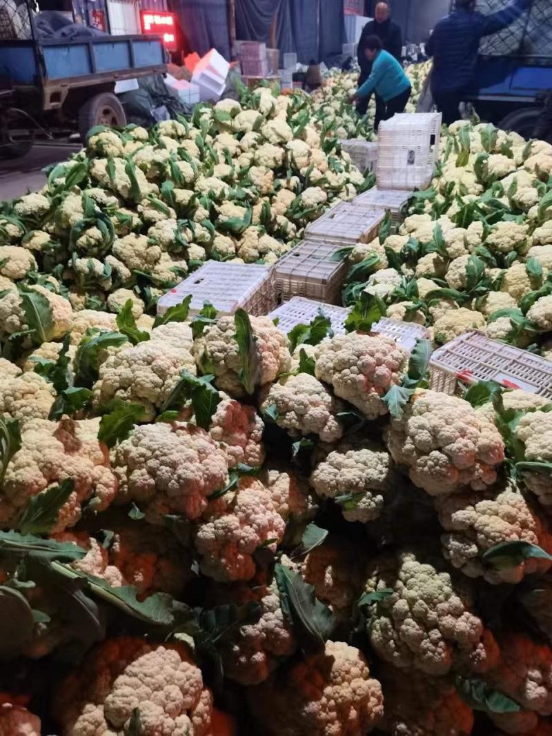 精品菜花，品质优选代发全国各地