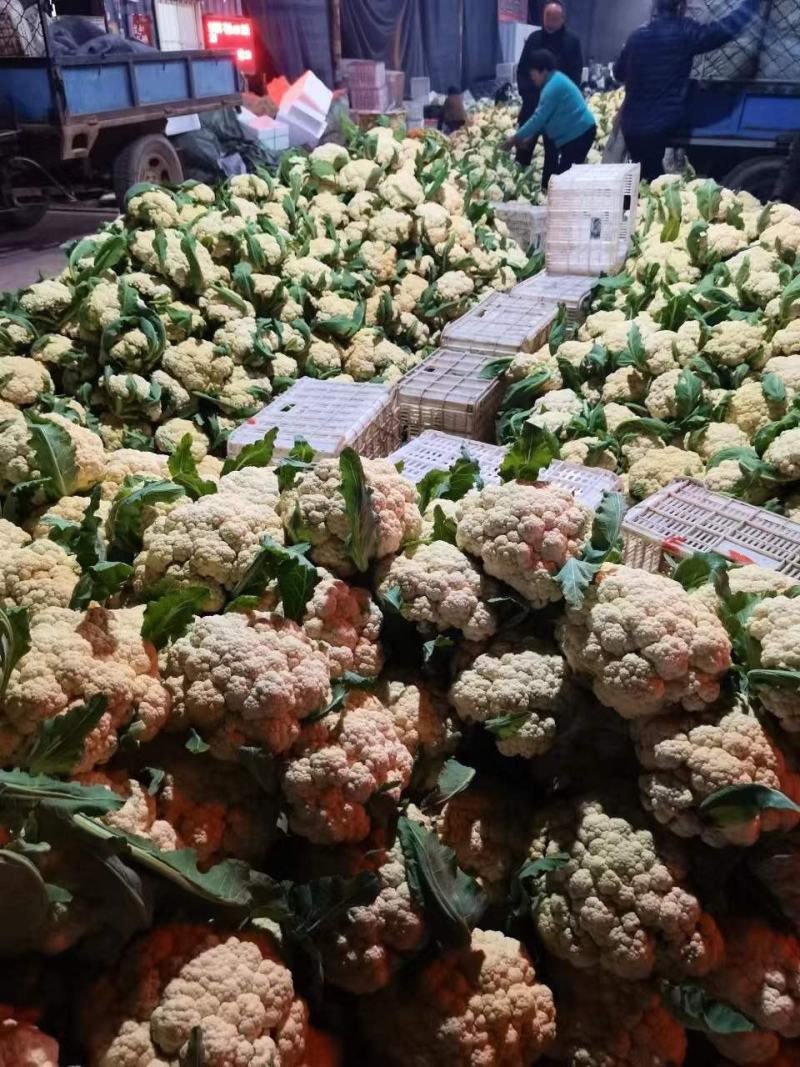 精品菜花，品质优选代发全国各地
