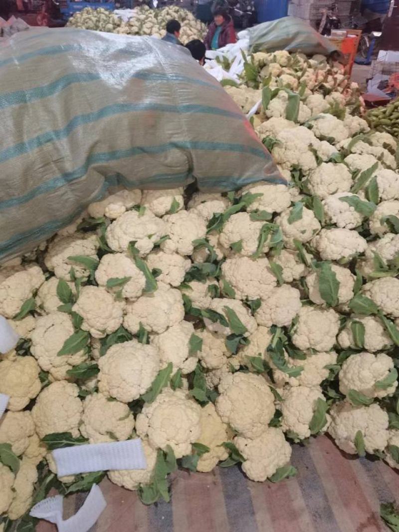 精品菜花，品质优选代发全国各地
