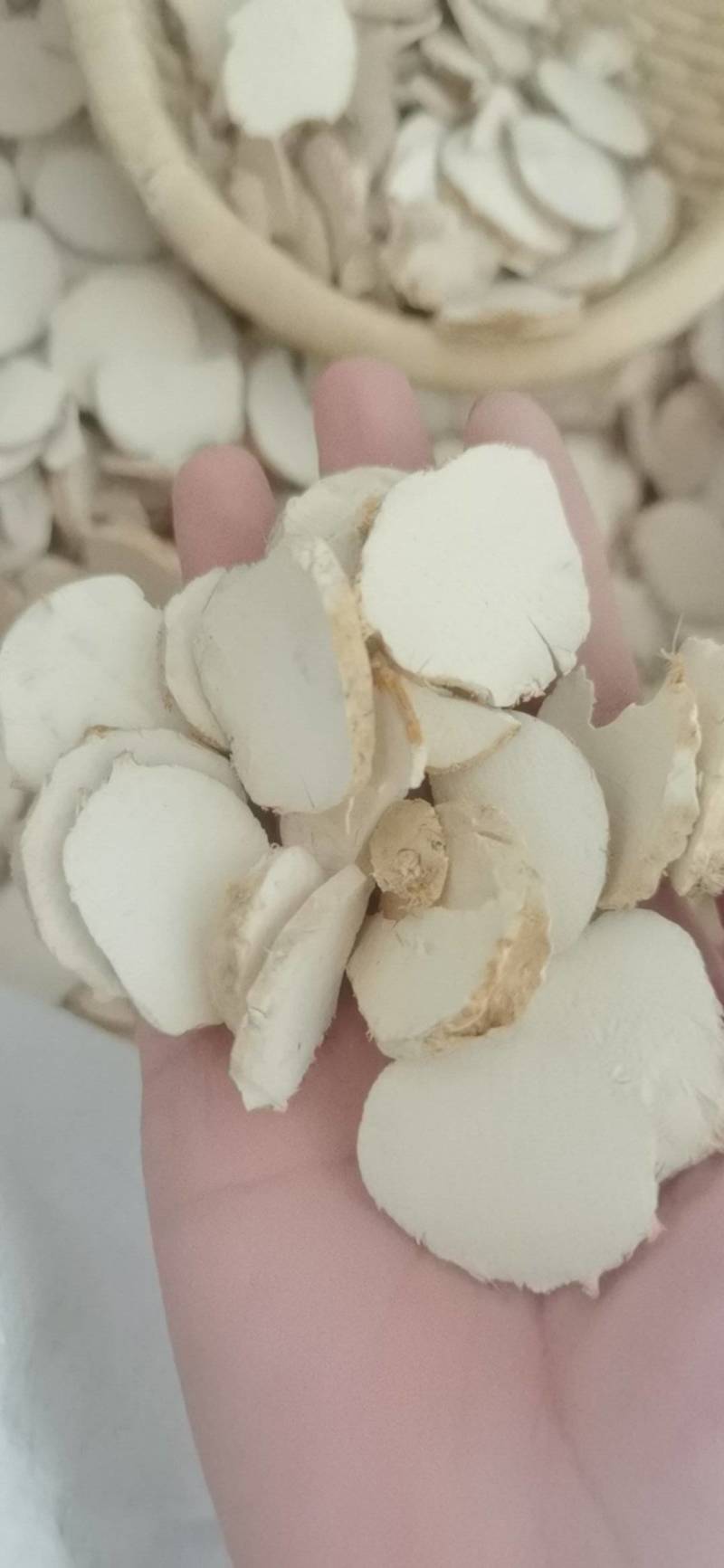 三棱三棱1000克批发中药材现货批发量大从优