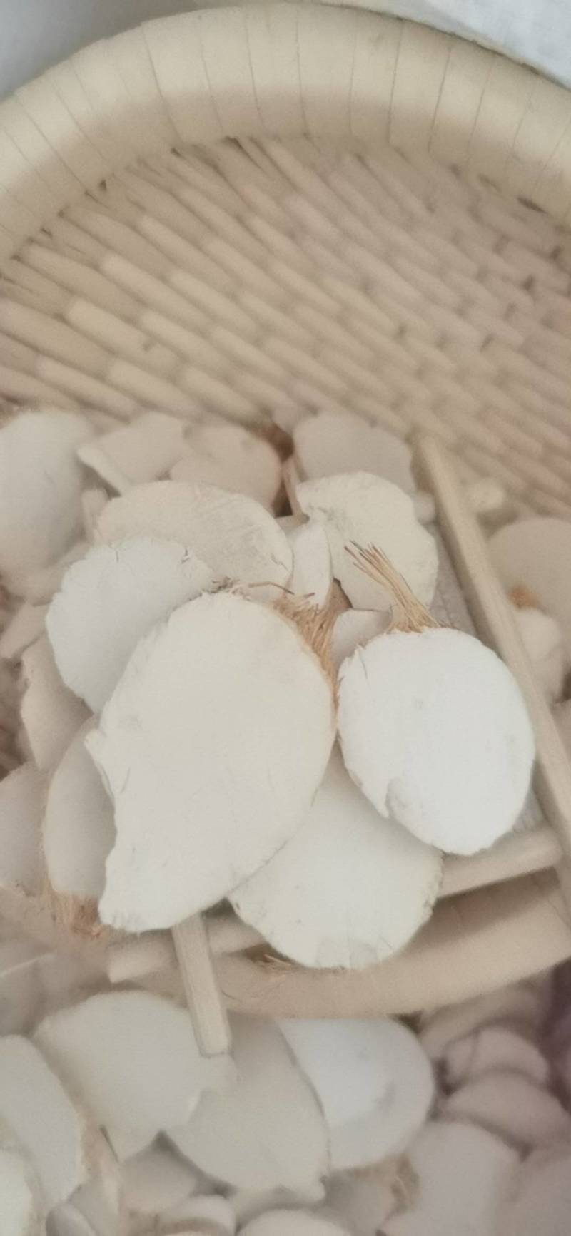 三棱三棱1000克批发中药材现货批发量大从优