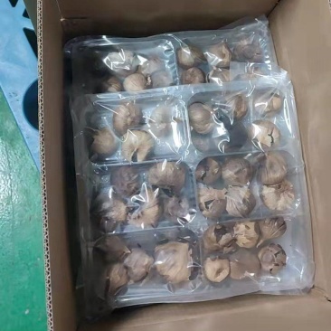 独头裂皮黑蒜发酵黑蒜批发价格工厂直供