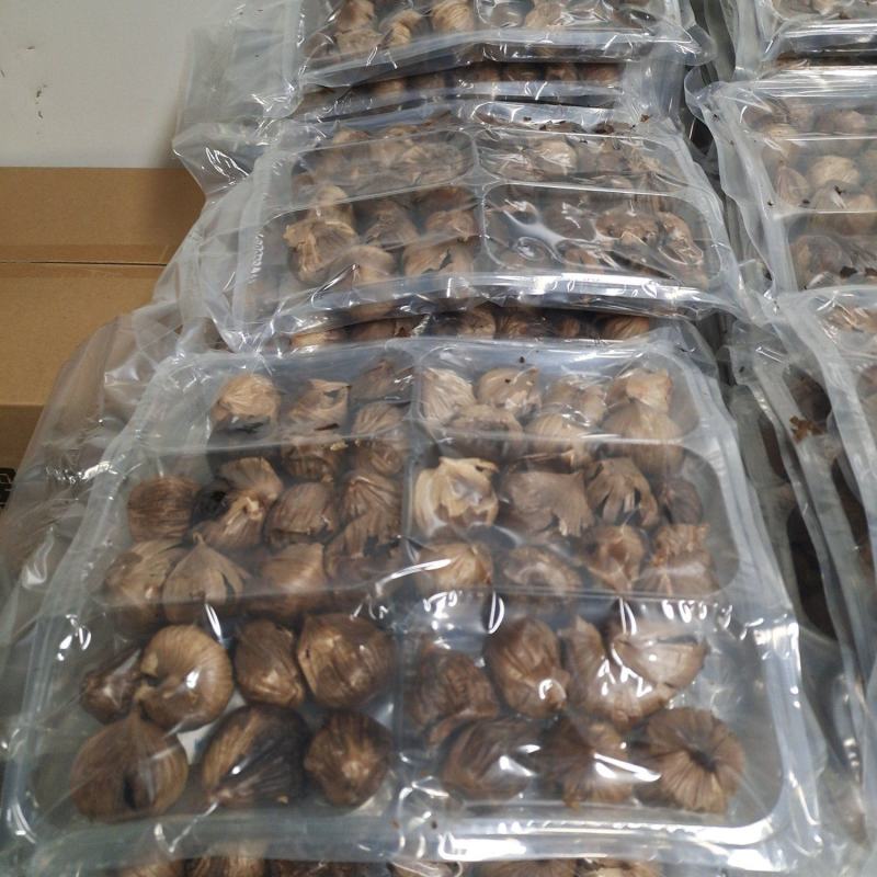 独头裂皮黑蒜发酵黑蒜批发价格工厂直供