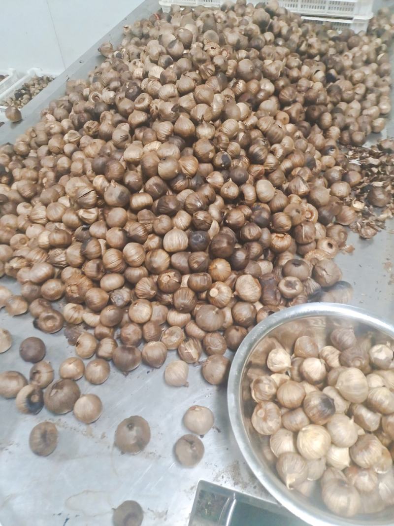 独头裂皮黑蒜发酵黑蒜批发价格工厂直供
