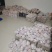 突尼斯软籽石榴