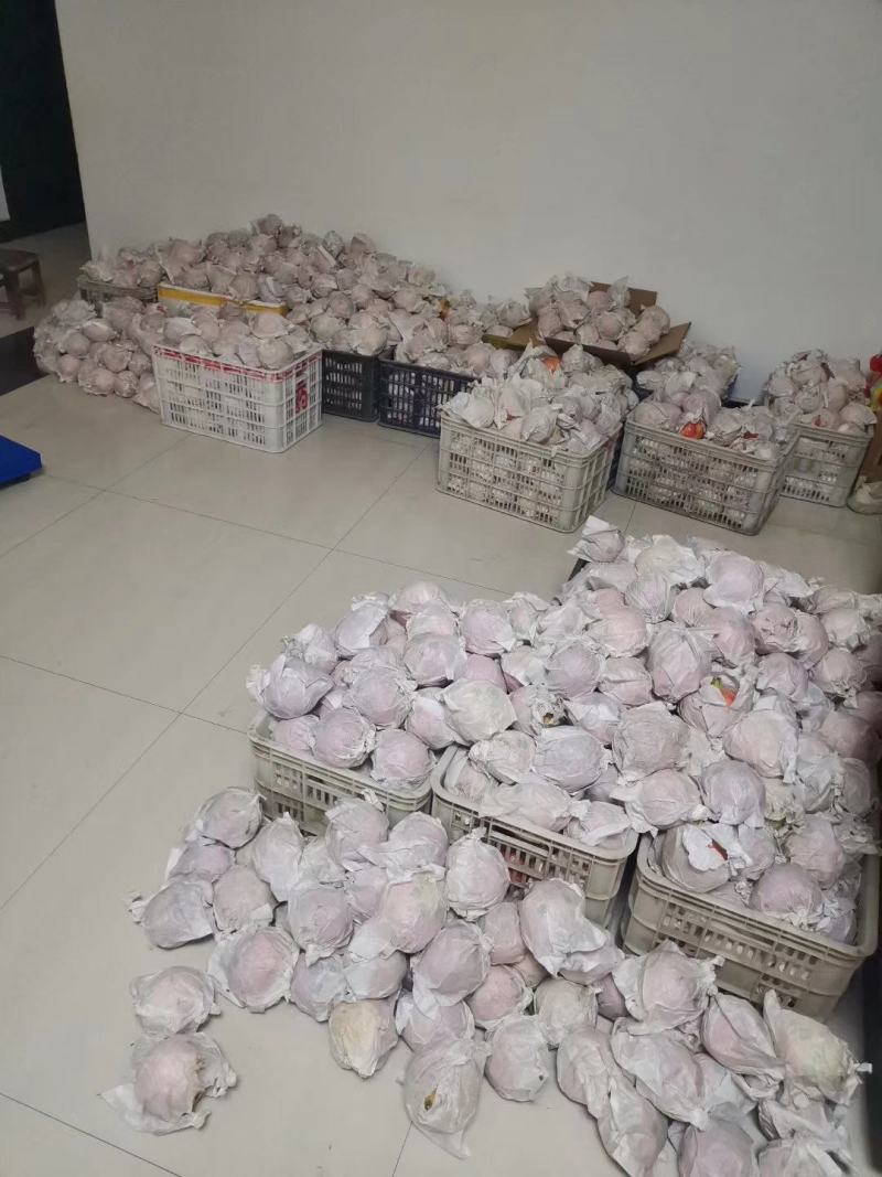 突尼斯软籽石榴
