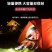 五头头灯强光超亮可充电式钓鱼灯远射超亮头戴式LED矿灯手