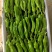 芜湖椒，砀椒，薄皮椒，山东费县，精品，直供，代收代发，