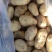 土豆河北土豆v7希森品种齐全大量现货具体价格来电