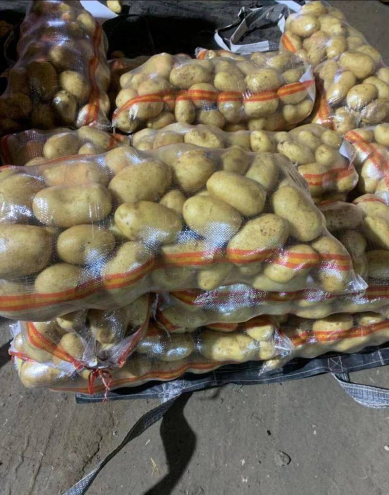 土豆河北土豆v7希森品种齐全大量现货具体价格来电