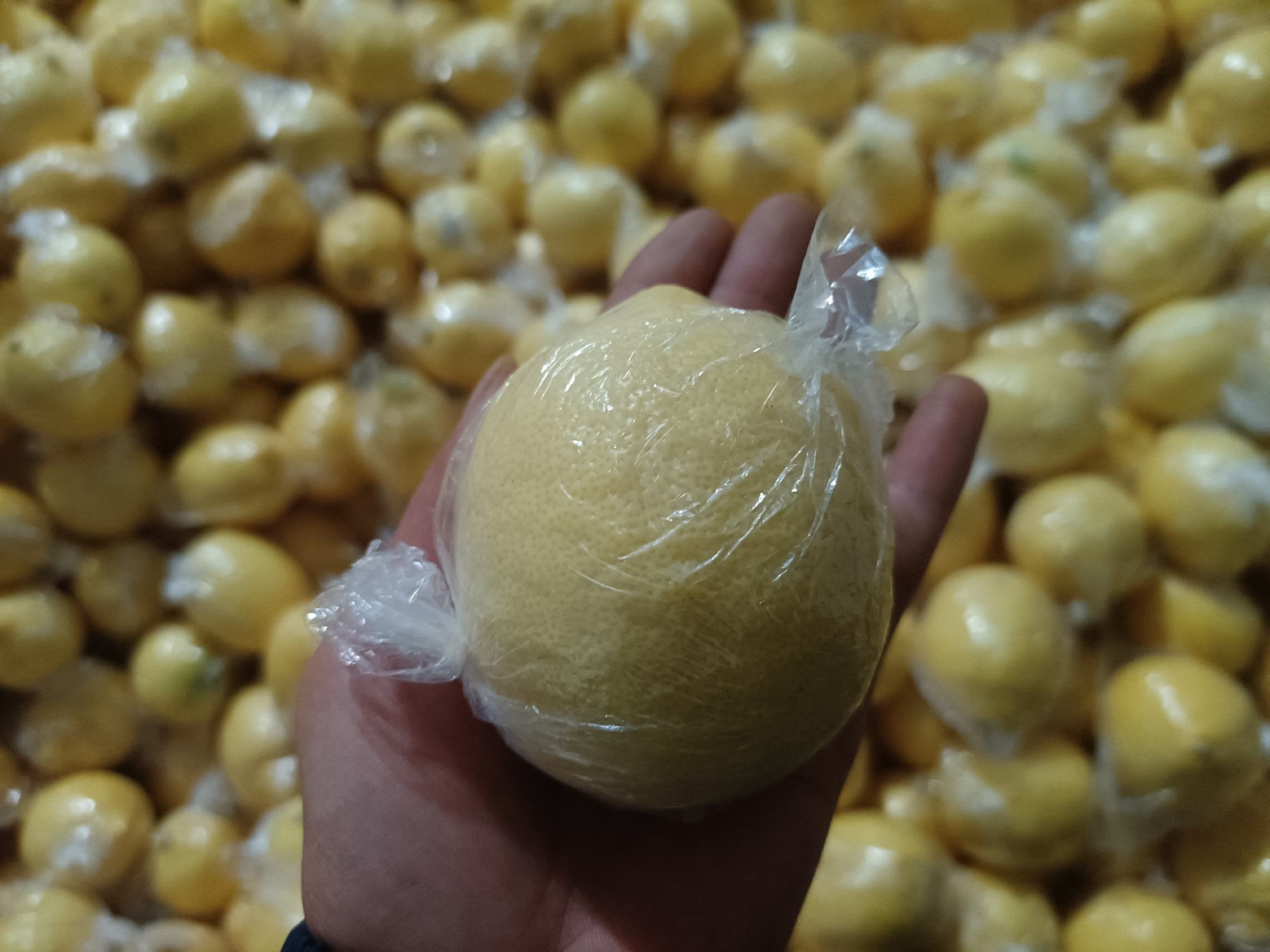 现代化的安岳柠檬加工车间内部场景,工人们正在操作自动化分拣设备,传送带上滚动着大小均匀的金黄色柠檬,背景有大型冷藏库和贴标包装流水线,墙上挂着‘国家地理标志产品’标识,体现标准化、规模化生产流程 安岳柠檬加工厂内景