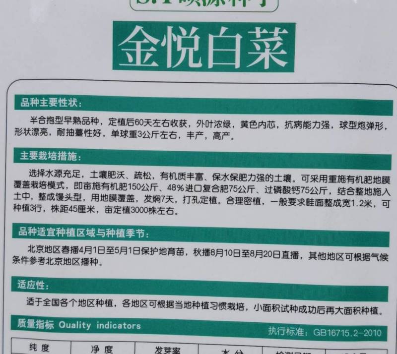 春白菜种子金悦白菜抗病耐抽苔黄心炮弹型早熟白菜种子