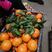 湖北纽荷尔脐橙产地橙子一手货源专业对接市场电商客户