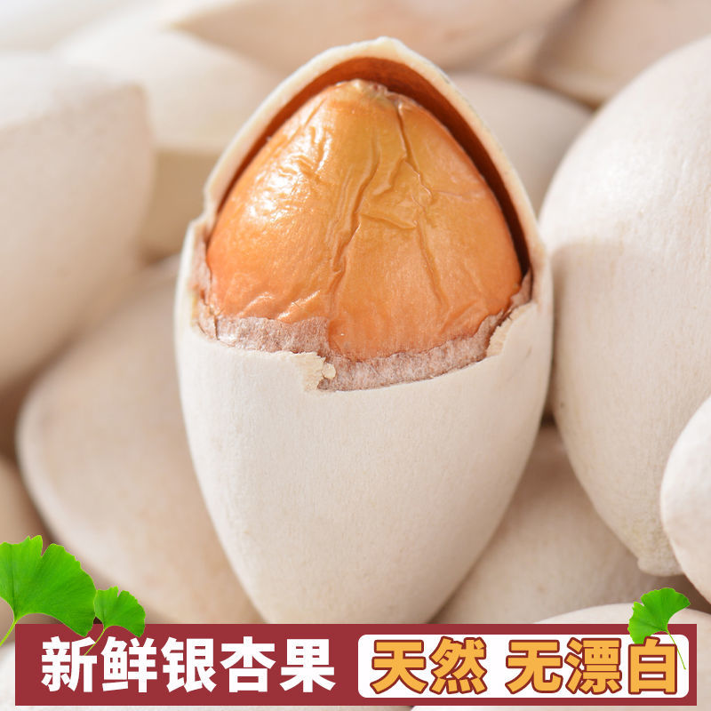 【新鲜带壳银杏果】生白果天然无漂白银杏果仁徐州邳州特产