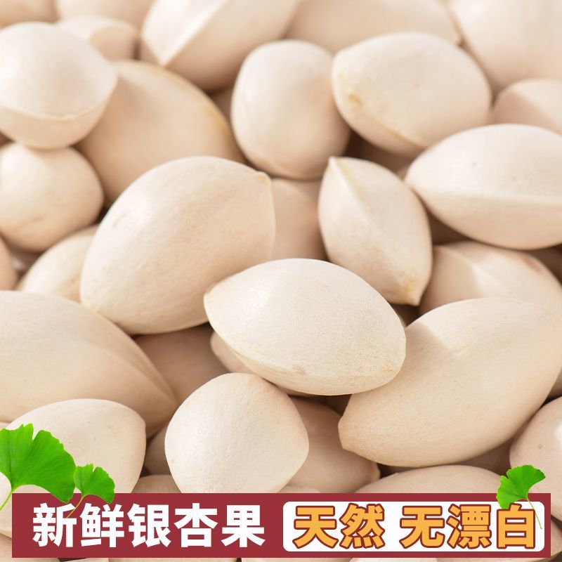 【新鲜带壳银杏果】生白果天然无漂白银杏果仁徐州邳州特产