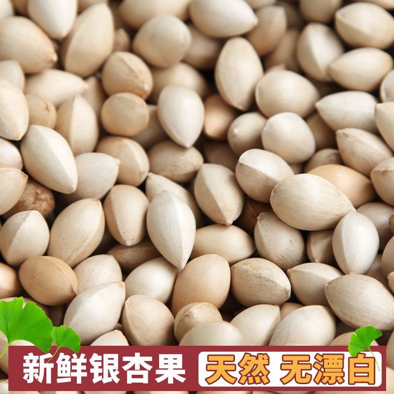 【新鲜带壳银杏果】生白果天然无漂白银杏果仁徐州邳州特产