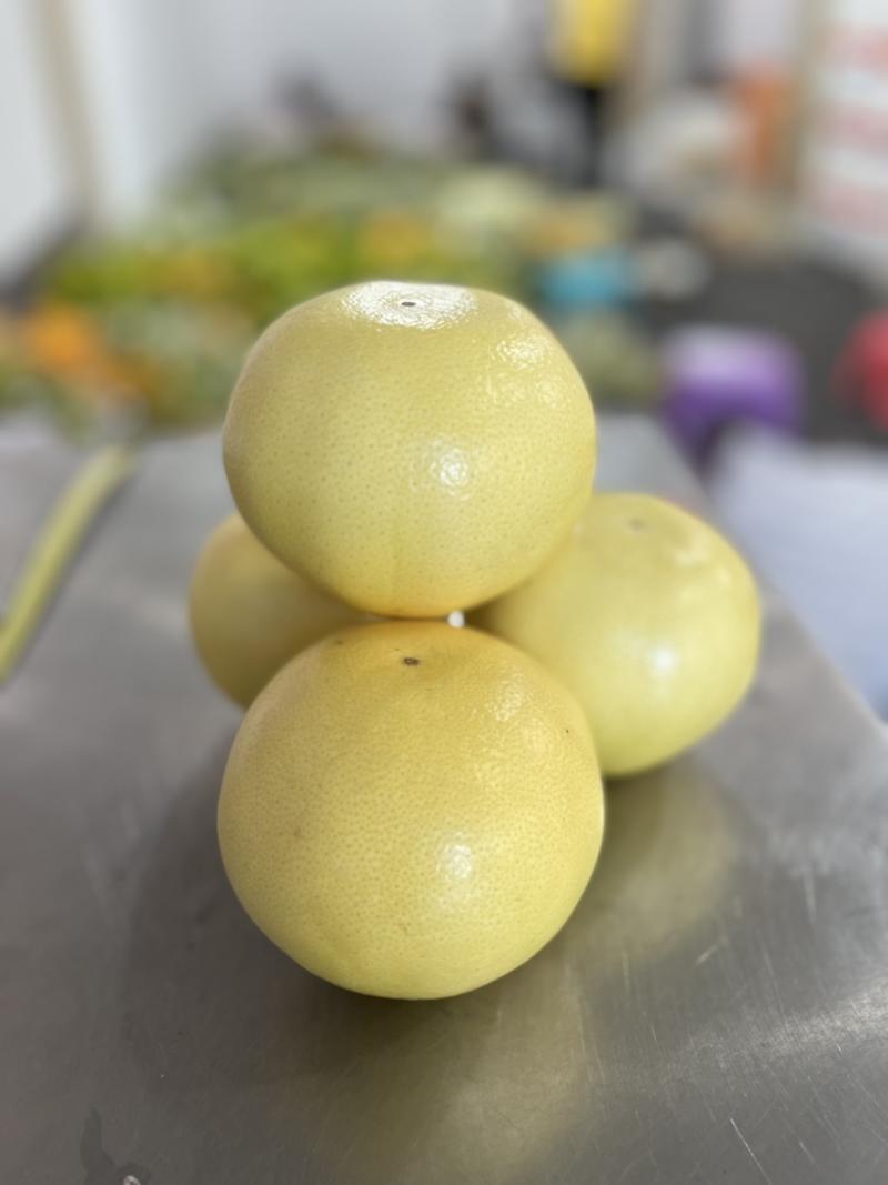 “当季热卖”黄金葡萄柚，皮薄肉厚，香甜多汁包质量