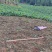 大凉山真宗凉薯豆薯地瓜脆甜化渣水分充足