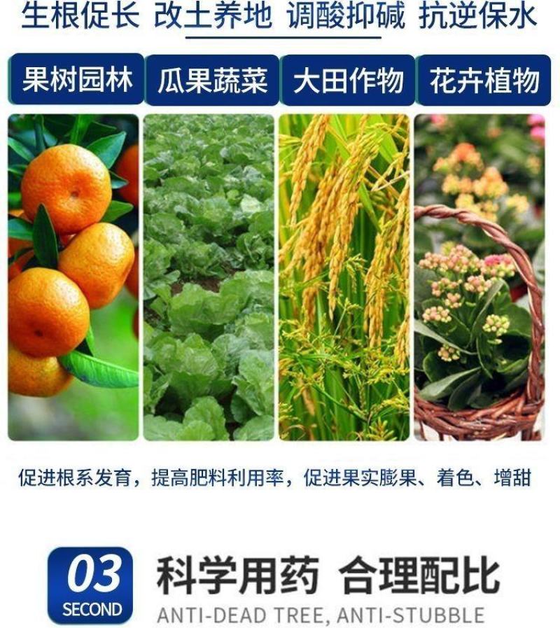 微生物菌剂哈茨木霉菌抗重茬预防死棵烂苗根腐病预防土传病害