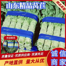山东红叶莴笋田间加工质量好价格低商超品质