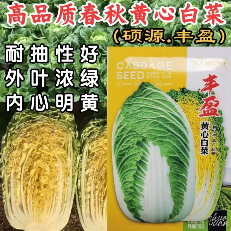 春秋两用黄心白菜种子耐寒耐抽苔内芯明黄早熟抗病强