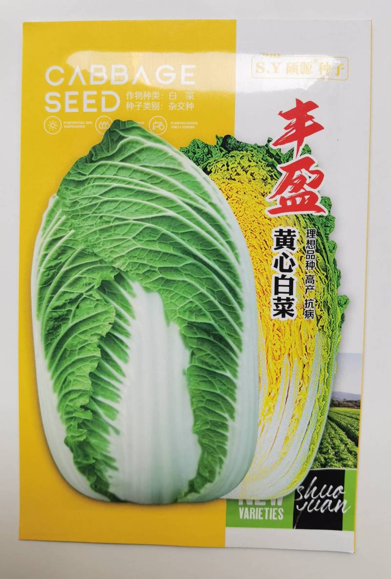 春秋两用黄心白菜种子耐寒耐抽苔内芯明黄早熟抗病强