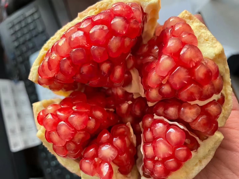 石榴内部结构特写