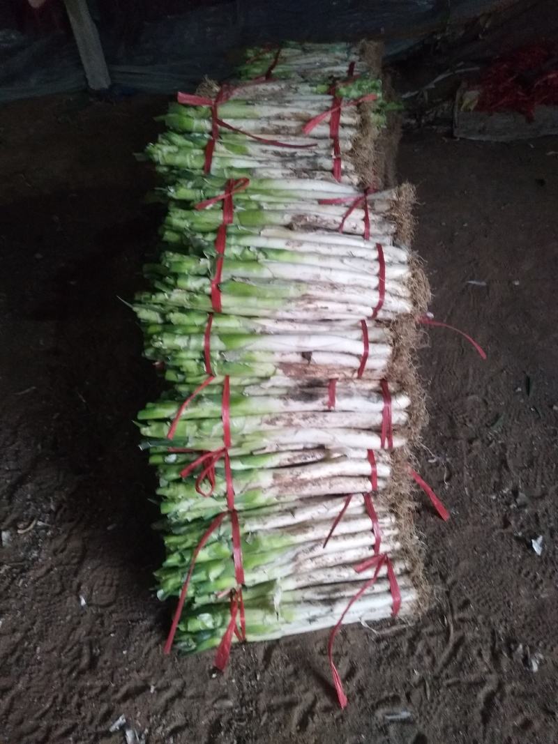 钢葱毛段，大量批发全国走货，诚信合作欢迎来电
