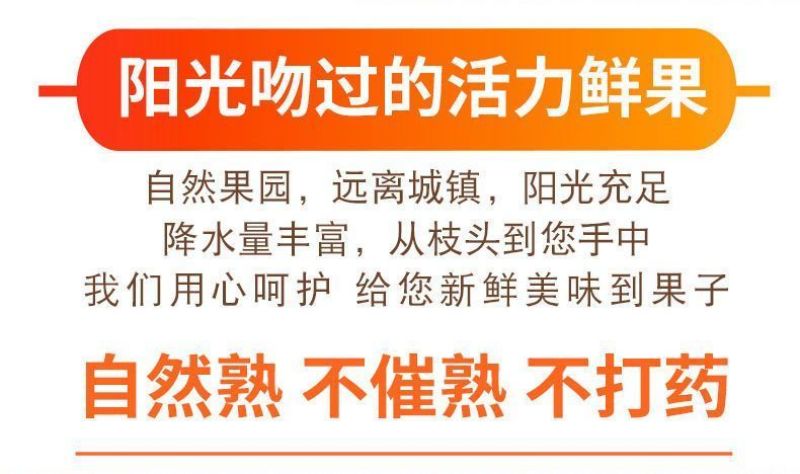 四川爱媛38号果冻橙新鲜现摘现发拼多多二级果电商一件代发